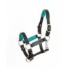 Perri's 3/4" Mini/Pony Padded Leather Halter - Black/Turquoise