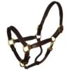 Perri's 3/4" Mini/Pony Padded Leather Halter - Havana/Brown