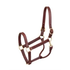 Perri's 1" Professional Leather Show Halter - Hazelnut