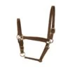 Perri's 3/4" Leather Turnout Halter - Havana
