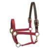 Perri's Nylon Safety Halter - Red