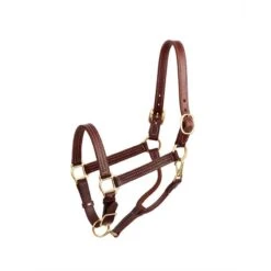 Perri's 1" Leather Show Halter - Chestnut/Chrome