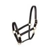 Perri's 1" Leather Turnout Halter - Black