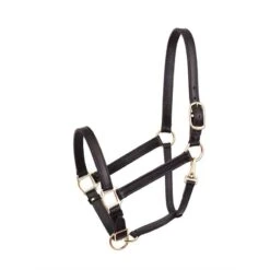 Perri's 1" Leather Turnout Halter - Havana