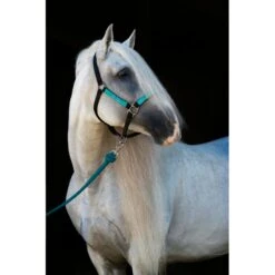 Kensington Premium Breakaway Halter - Atlantis