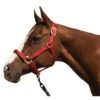 Blocker Halter W/Cable Reinforced Crown And Nose - Red