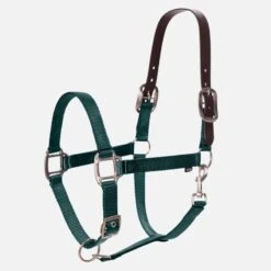 Equinavia Loki Breakaway Halter - Hunter Green