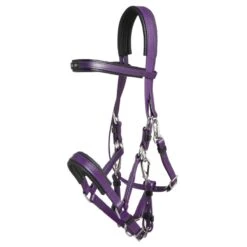 Zilco Marathon Endurance Bridle - Purple