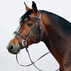 Horze Buxton Flash Bridle W/Reins - Black