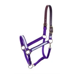 Perri's Ribbon Safety Halter - Purple Arrows