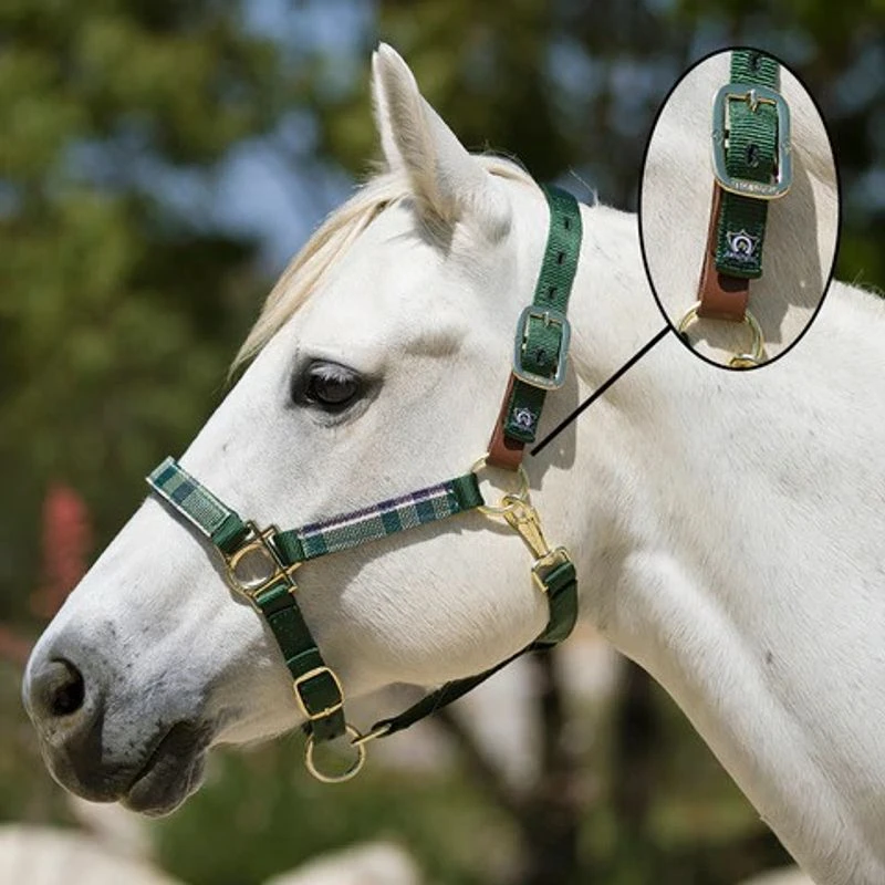 Kensington Premium Breakaway Halter - Desert Sand - Image 2