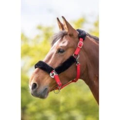 Shires Fleece Lined Headcollar W/Breakaway - Burgundy