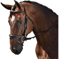 M. Toulouse Euro Style Dressage Bridle - Black