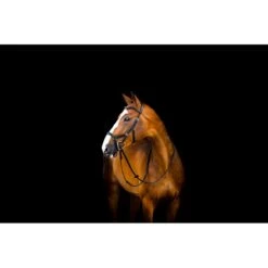 Rambo Micklem 2 Deluxe Competition Bridle W/Reins - Black