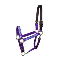 Perri's Ribbon Safety Halter - Purple Llama