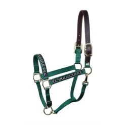 Perri's Ribbon Safety Halter - Hunter Green Horseshoe