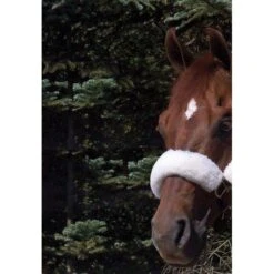 WoolBack Noseband Cover - Natural