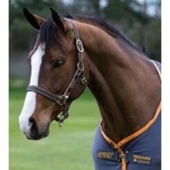 Amigo Halter - Dark Navy/Red/Orange